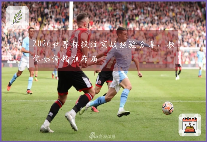 2026世界杯投注实战经验分享，教你如何精准布局