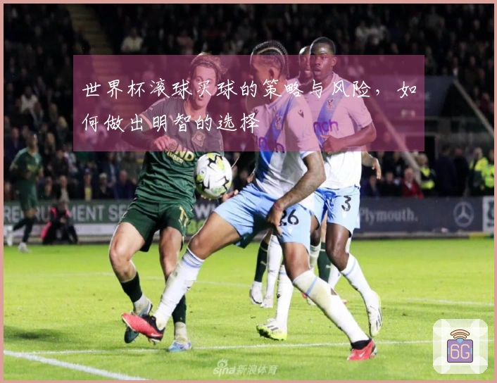 世界杯滚球买球的策略与风险，如何做出明智的选择