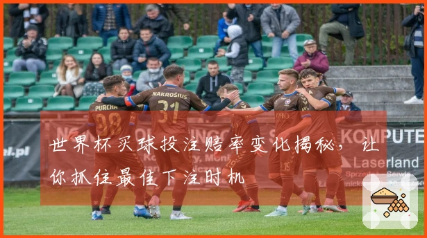 世界杯买球投注赔率变化揭秘，让你抓住最佳下注时机