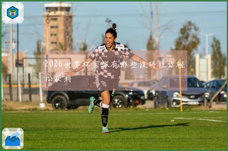 2026世界杯买球有哪些技巧让你轻松获利