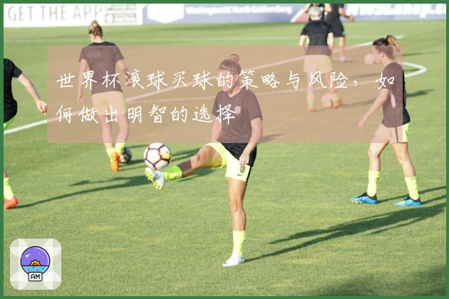 世界杯滚球买球的策略与风险，如何做出明智的选择